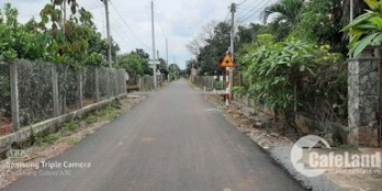 Cần bán vườn cây ăn trái mẩn cầu . Dt 2400m .tc200