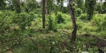 CẦN TIỀN BÁN LÔ ĐẤT RẪY CHÂU ĐỨC-BRVT. DT3620m2