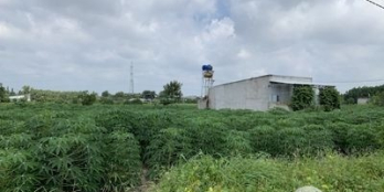 Thanh Lý Hàng Mùa Covid Còn 5 Lô, full Thổ, Sổ Sẳn