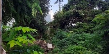 Đất tại ấp Tân Trung, Châu Pha, Phú Mỹ