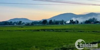 Bán đất Phước Hội,Đất Đỏ,BRVT - Dt 564m2