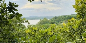 Bán 20.000m2 đất đồi, View Hồ Sông Ray, có Suối