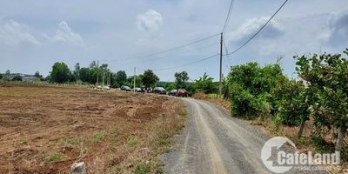 Cần bán gấp lô đất  1000 m2 gần khu CN đất đỏ giá 1 tỷ 150