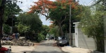 Đất biệt thự 294m2 mặt tiền Vi Ba, Núi Lớn