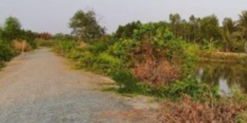 Bán đất mặt tiền đường N2, xã thạnh lợi, huyện bến lức, tỉnh long an