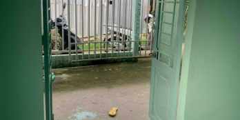 Chủ kẹt tiền bán nhà xã đông bình tx bình minh vĩnh long Lộ đan 2 m Cách lộ xe h