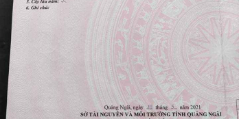 Em ra hàng siêu giá nhẹ nhẹ cho khách tai chính hơn 300 chưa tới 400.