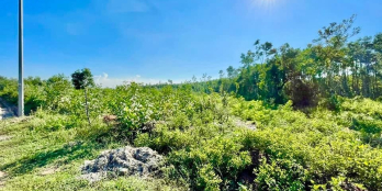 Gần 4 xào đất BHK Bình Hoà, Bình Sơn