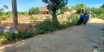 Bán mấy lô đất Bình Hòa,diện đường otto.