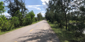 cần bán 5 sào đất BHK mặt tiền đường xã bình Phú. Đường liên xã Bình Châu Bìn