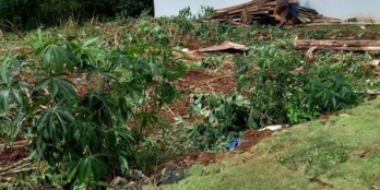 CẦN BÁN NHÀ PHỐ FULL NỘI THẤT-P.TÂN LỢI TP.BMT