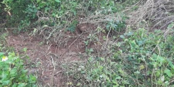 BÁN NHANH LÔ ĐẤT HẺM HÀ HUY TẬP TÂN LỢI