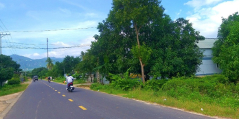 BÁN ĐẤT MT ĐƯỜNG ĐỒNG BÀ THÌN-SUỐI CÁT,CHỈ 320TR/M NGANG,CAM THÀNH BẮC,CAM LÂM