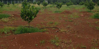 Lô góc 2 mặt tiền  Dtich 1 mẩu đường betong , điện nước đầy đủ