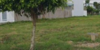 Nợ ngân hàng cần bán đất 110m2/900tr nằm gần Coopmart Cần Đước