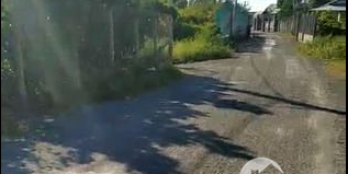 Đất lúa ngã tư Chợ Trạm Cần Đước 2100m2, giá 1.65 tỷ