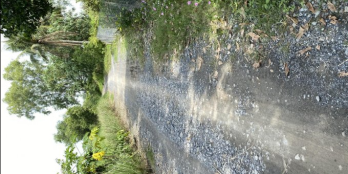 Cần bán đất thổ cư xã Long Hoà - Cần Đước -Long an