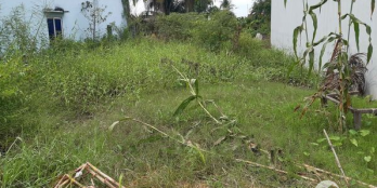 Đất mặt tiền TL830, LONG ĐỊNH CẦN ĐƯỚC