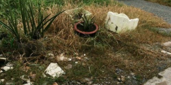 Bán Đất CHÍNH CHỦ KDC Phúc Giang GARDEN chỉ 850 triệu/90m2.Cần Đước-Long An ,SHR