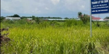 Ngân hàng thanh lý 2 lô đất liền kề tại xã Tân Lân, huyện Cần Đước, Long An