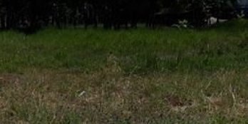 Đất xây nhà vườn lên full thổ cư, phân lô tách thửa ok,cách Sg chỉ 9km