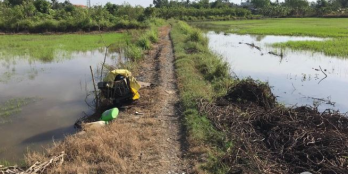 Bán đất lúa xã Phước Lý huyện Cần Giuộc, Dt 1927m2 được chuyển thổ cư