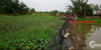 Bán 2 công đất ruộng mặt tiền đường Ấp Long Hưng, xã Long Thượng, Cần Giuộc, Lon