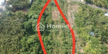 Cần Bán 2381m2 đất mặt tiền Huỳnh Thúc Kháng - huyện Côn Đảo