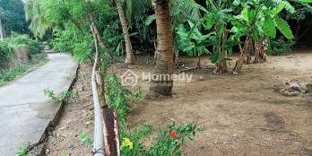 Bán 883m2 đất Côn Đảo, SHR, thổ cư 100m2, giá chỉ 5.5tr/m2 - Gọi ngay