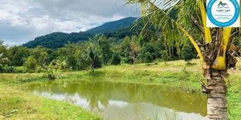 chỉ 7,5 tỷ cho một siêu phẩm Diện tích 13.000m2 có 100m2 thổ cư.