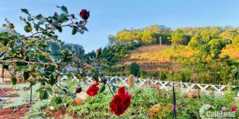 Cần bán nhà vùng ven trực thuộc tp Đà Lạt. + Địa chỉ Trạm Hành, xã Xuân Trường,