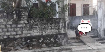 Tư vấn bất động sản tại Huyện Diễn Châu, Nghệ An