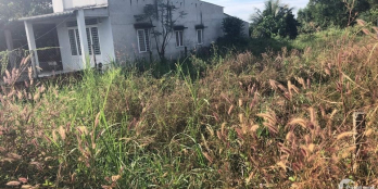 Chủ gửi bán miếng đất âp 2 phú ngọc dt 12x58