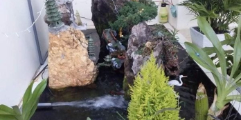 Cần bán gấp căn nhà cấp bốn hiện đang có người ở sinh hoạt bình thường