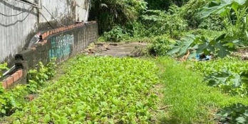 CẦN BÁN Ô ĐẤT MẶT ĐƯỜNG HÀ TRUNG. Giá : 3 tỷ 900 triệu