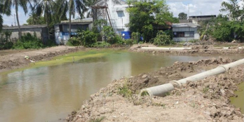 Hàng Đẹp Suất Lúa Non-Bao Ngon Mùa Dịch