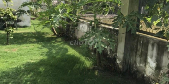 bán đất 300m2 vườn tượt xanh mướt Tân Nhựt bình chánh-giá rẻ chốt ngay