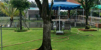 Nhà vườn dt 56m x 50m có 300m thổ hẻm 5m 22 tỷ- 2.800 m2 Tân Nhựt