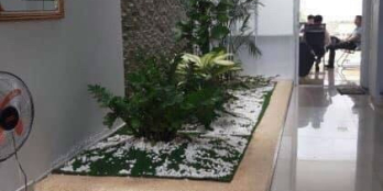 Diện tích 9m x 28m Kết cấu nhà cấp 4-xã tân túc