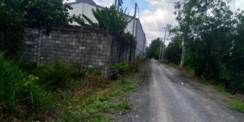 Bán đất Hẻm xe hơi 6m giá tốt Huyện Bình Chánh Đường An Hạ đất đẹp