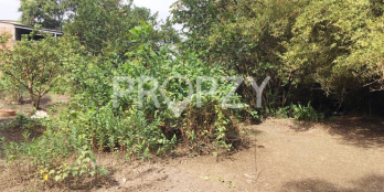 BÁN đất 1494m2 (23.21m x 58.59m), gồm 1188m2 là đất trồng câY LÂU NĂM-AN HẠ