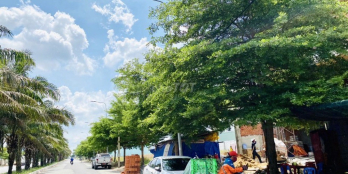 bán biệt thự đường BÀ CẢ- Khu dân cư đã duyệt qui hoạch 1/500 của Huyện