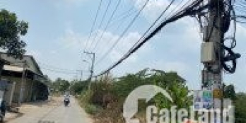 GẢ GẤP ĐƯỜNG BÀ CẢ -Sổ đỏ đầy đủ- Đất hiện trạng trồng cây lâu năm-900M2