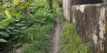 Bán Nền Phước Hậu Gần Lẩu Cua Đồng Cẩm Nhung