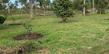 Cần bán đất chính chủ tại Cẩm Tân- Tp Long Khánh -Diện tích: 9970,0m2