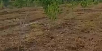 3000m2 view nghĩ dưỡng ấp 4 bình lộc long khánh đồng nai