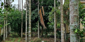 Bán nhà thuộc Long Sơn, Minh Long. Đi từ cầu dài lên, ko qua đèo Eo Gió.