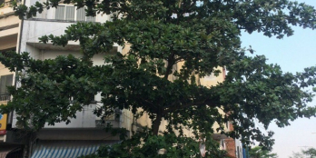 Cực phẩm nhà 2 MTKD đắc địa duy nhất đường Võ Văn Kiệt P.13, Quận 5