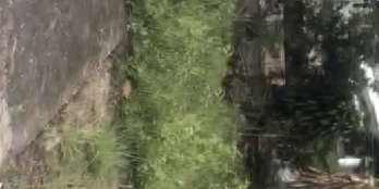 Đất rẻ mặt tiền kênh cách QL80 2km