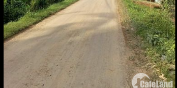 Gia đình tôi cần bán lô đất mặt tiền 10x43, cổng chào Hòa Lợi vào 100m